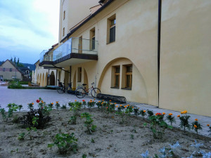 Nmst arelu ire - Caf Damin